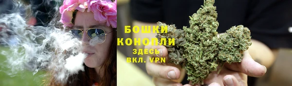 таблы Осинники