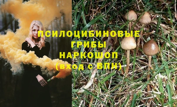 тгк Осташков