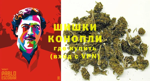 таблы Осинники