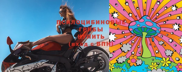 таблы Осинники