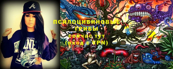 тгк Осташков